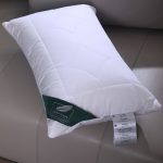 STERN(ѓЃ§ги™† ® Ѓ§•пЂЃ 150 ® 110)_1