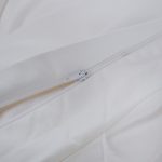 asabella-586