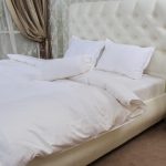 asabella-588