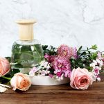 ЦВЕТОК ОЛИВЫ