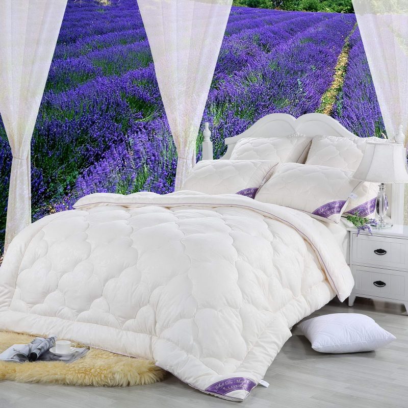 LAVANDA