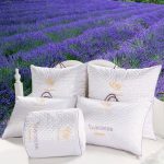 LAVANDA
