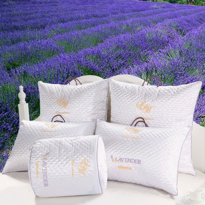 LAVANDA
