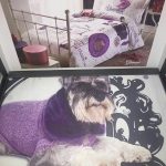 TIVOLYO-HOME-КПБ-GLAMOUR-.png