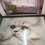 TIVOLYO-HOME-КПБ-KITTY-15-СП-DELUXE-ОРАНЖЕВЫЙ.png