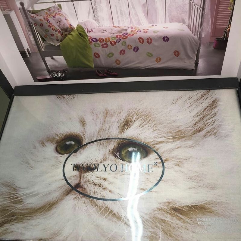 TIVOLYO-HOME-Kitty.jpg