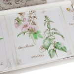 TH-Florine-Nev-Tk-min.jpg
