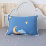Moon (1)
