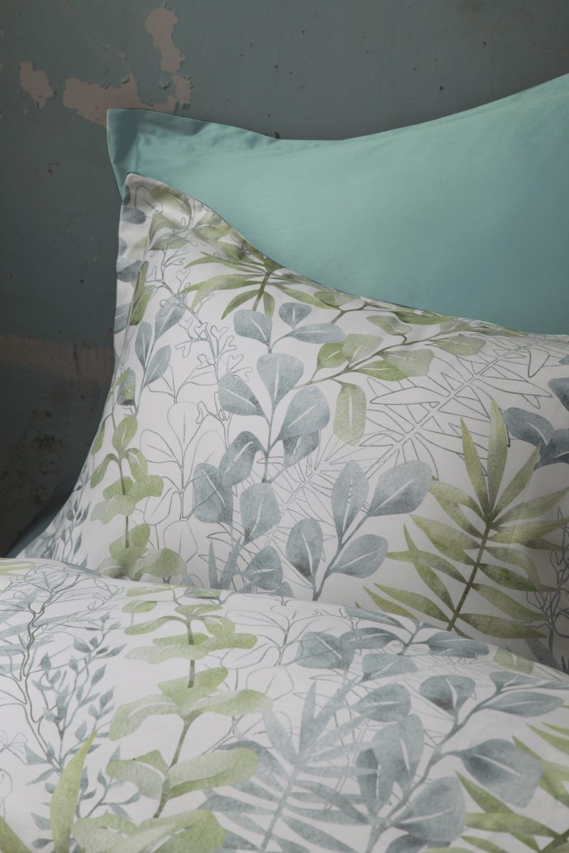 OCCALE GREEN (2)